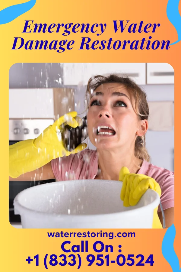 Emergency Water Damage Restoration in Ephraim, UT