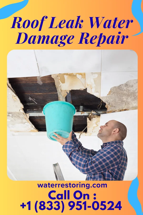 Roof Leak Water Damage Repair in Ephraim, UT